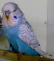 Babys 2013 011.JPG.JPG